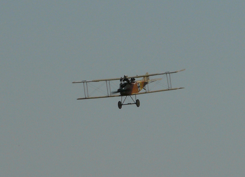 Albatros-CIII
