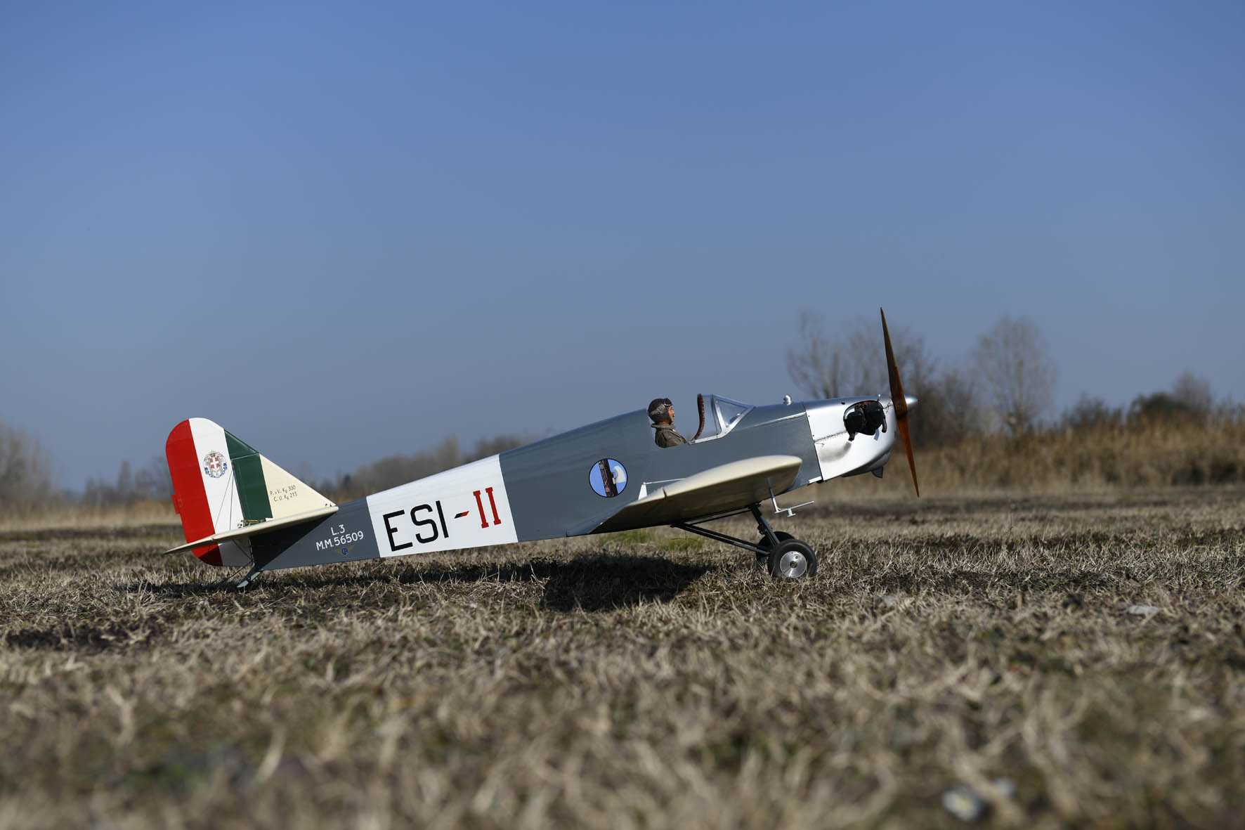 ESI-II_1