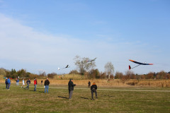 IMG_2716_1