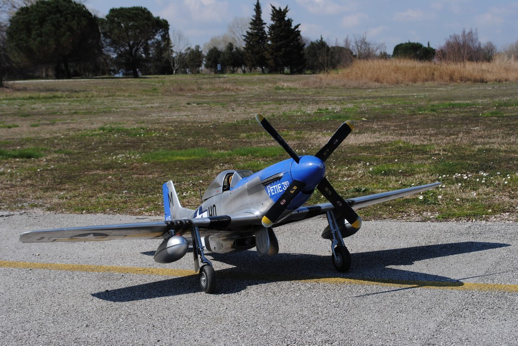 P51-003