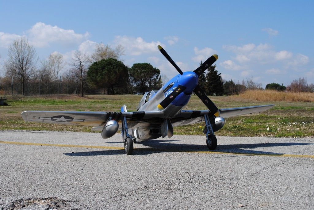 P51-004