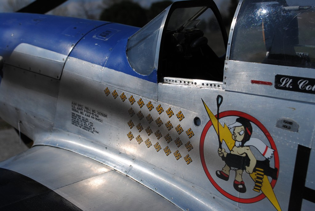 P51-019