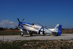 P51-007