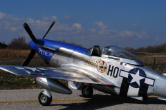 P51-008
